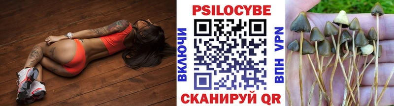 Псилоцибиновые грибы Magic Shrooms  как найти закладки  Шумиха 